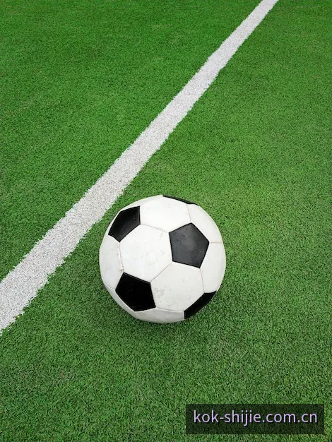 kok国际体育赛事球队攻防数据统计模型分析图